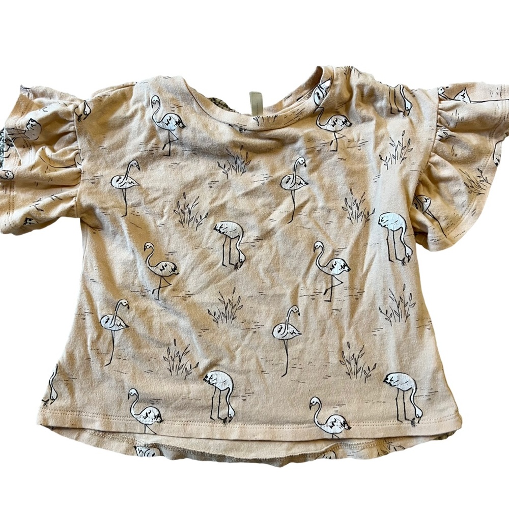 Rylee + Cru Flamingo Flutter T-Shirt